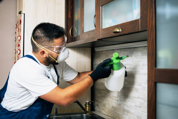 Best Exterminator Services  in Lihue, HI